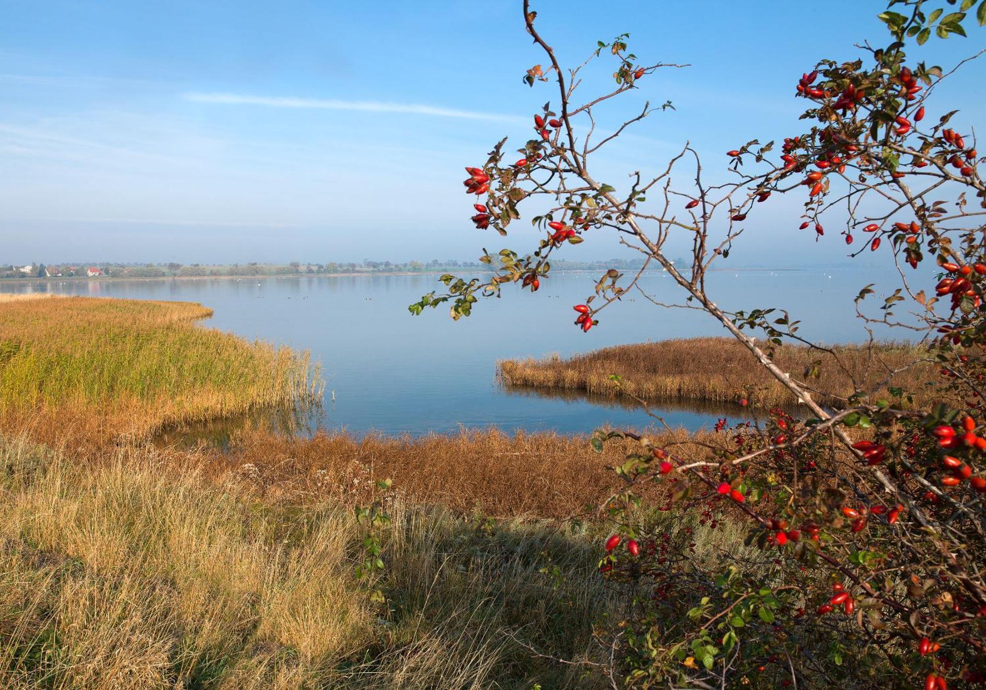 Ferienanlage Poschmann Strohboden Insel Poel Exteriör bild