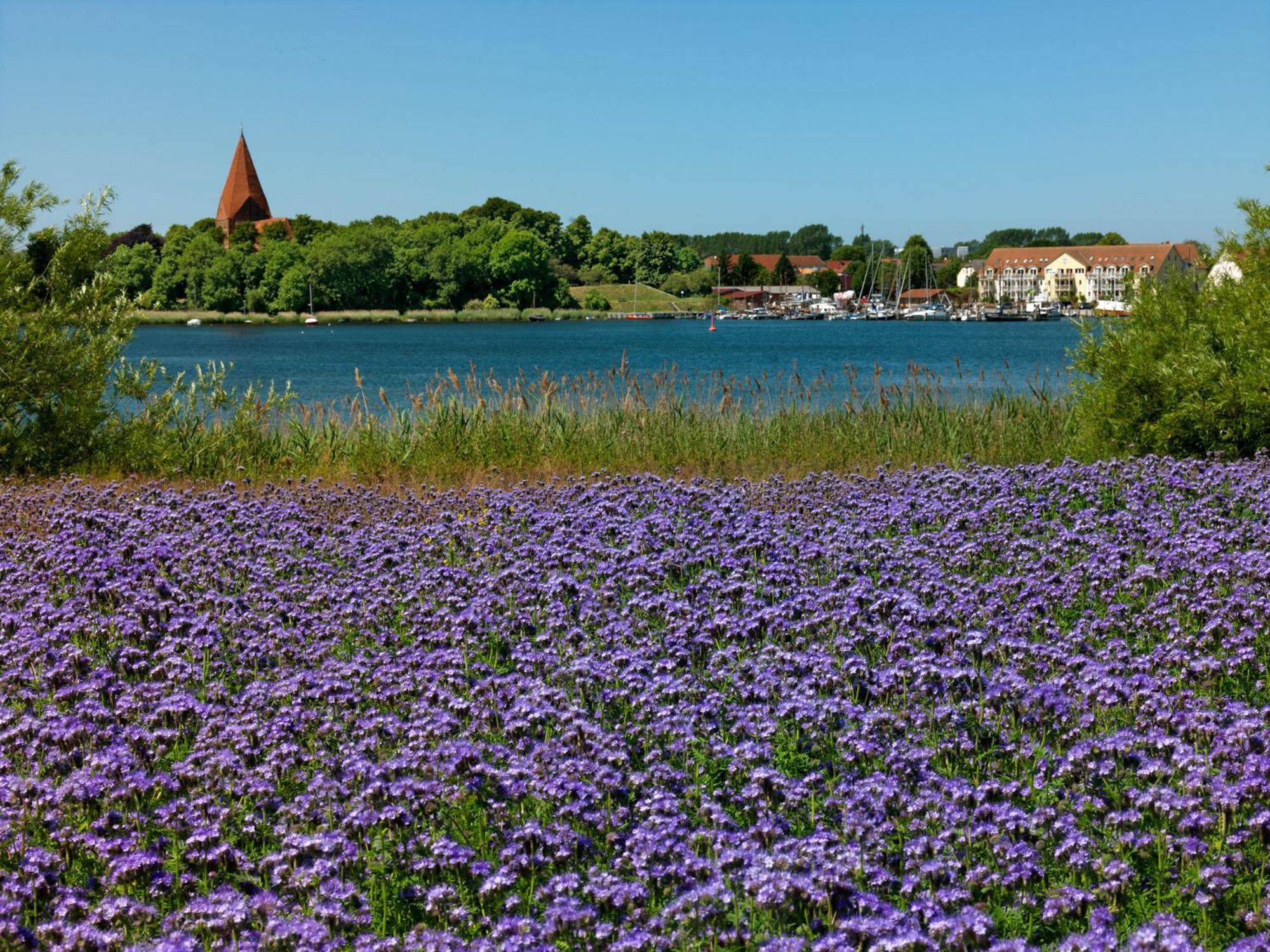 Ferienanlage Poschmann Strohboden Insel Poel Exteriör bild