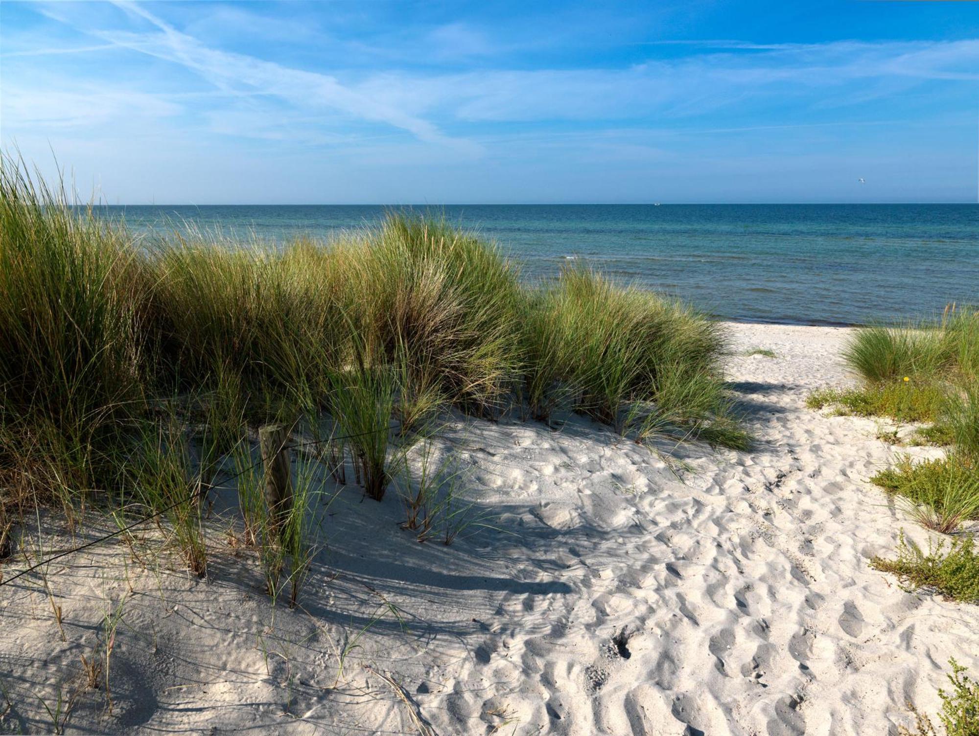 Ferienanlage Poschmann Strohboden Insel Poel Exteriör bild