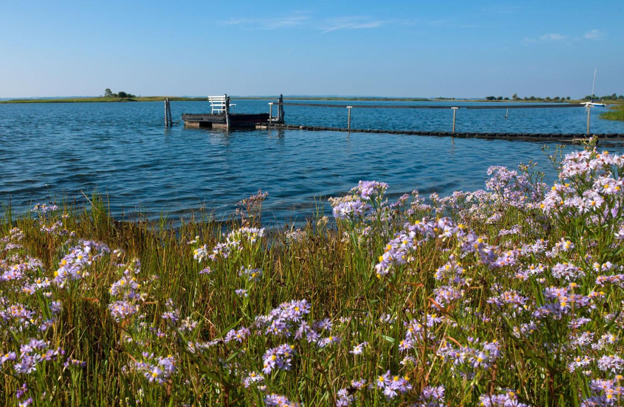 Ferienanlage Poschmann Strohboden Insel Poel Exteriör bild