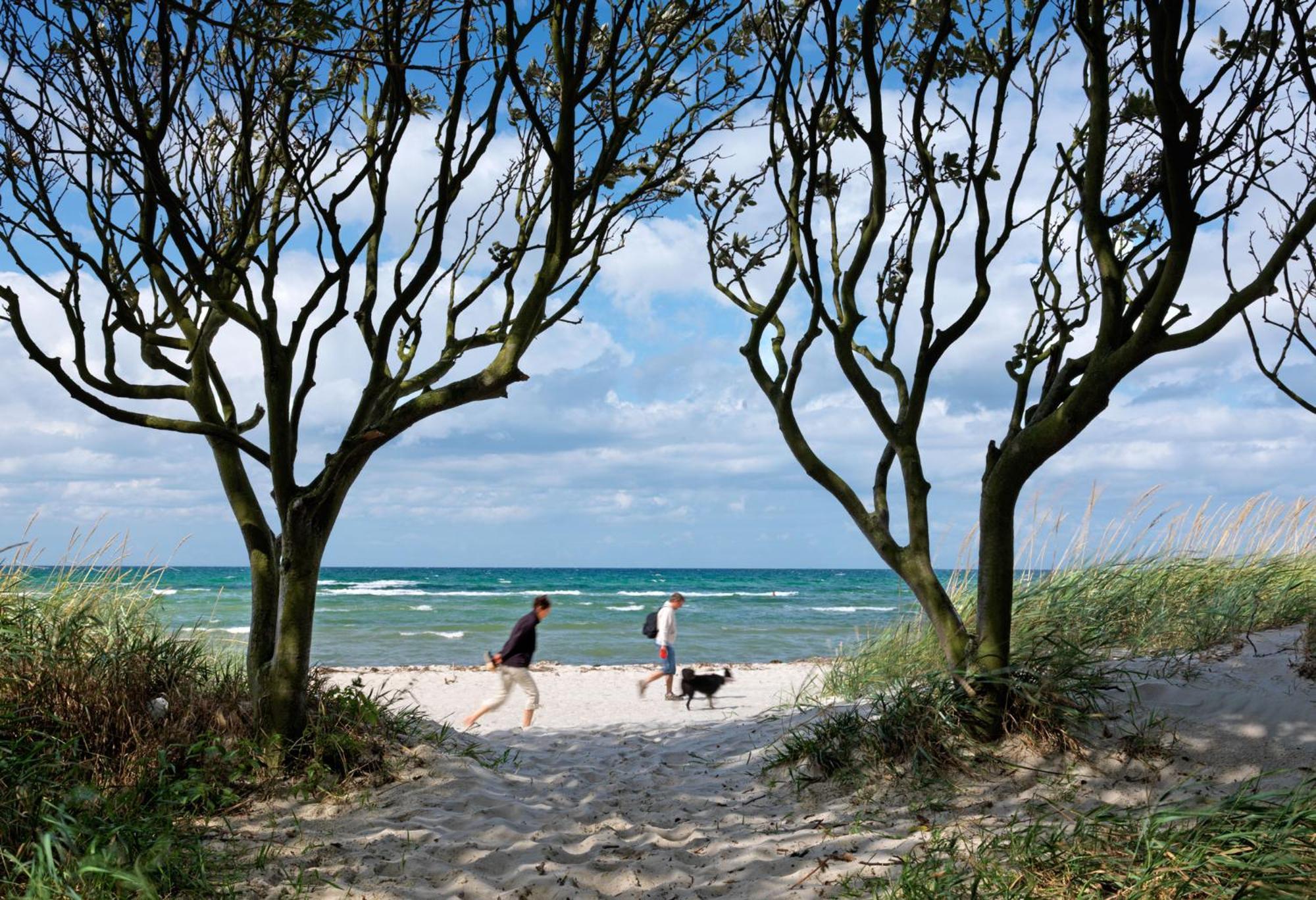 Ferienanlage Poschmann Strohboden Insel Poel Exteriör bild